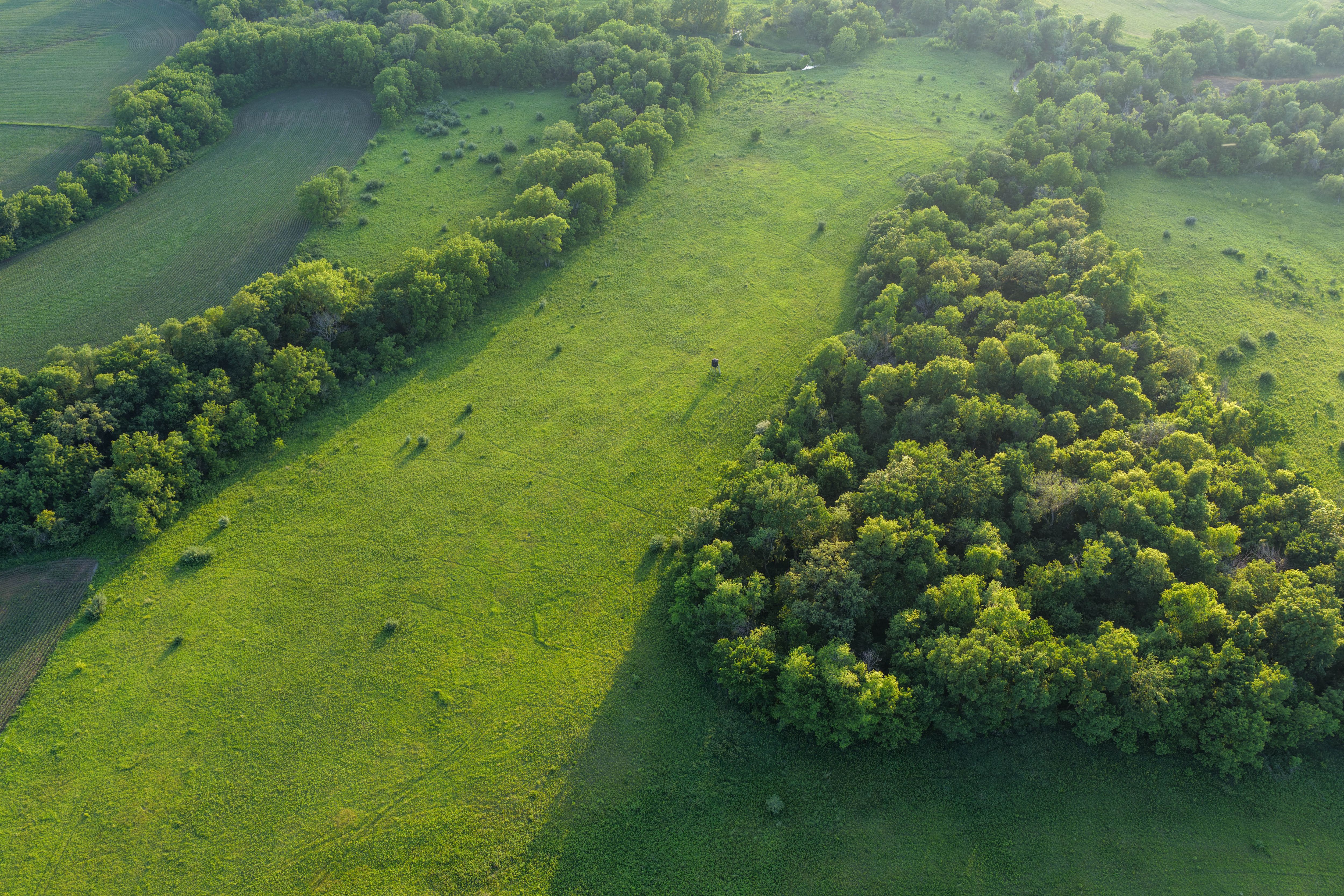 Listing Photo: Muscatine County Iowa Recreational Farm with Income-88